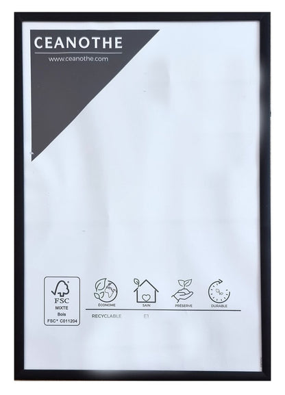 Ramka  21x29,7cm AL2130GDblack
